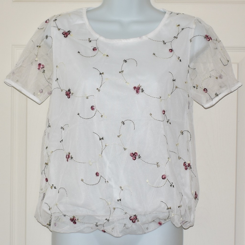 Embroidered Chiffon Short Sleeve Blouse